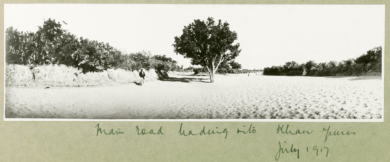 La carretera principal que conduce a Khan Yunis, julio de 1917 de Capt. Arthur Rhodes