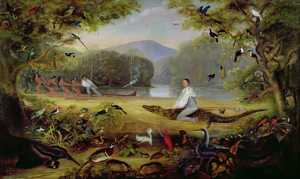 Charles Waterton capturando un caimán, 1825-26 de Captain Edward Jones