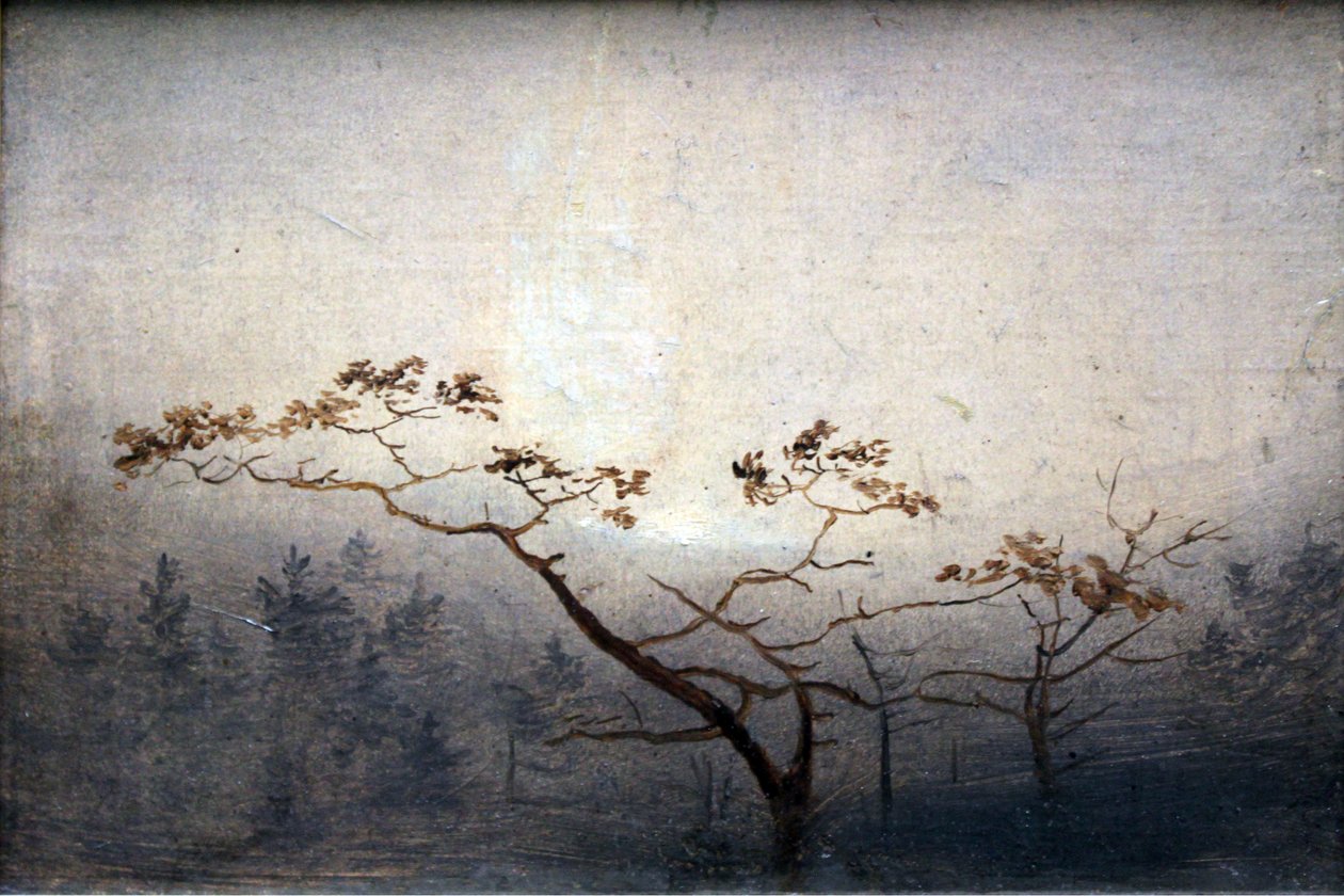 Árboles al amanecer en otoño de Carl Blechen