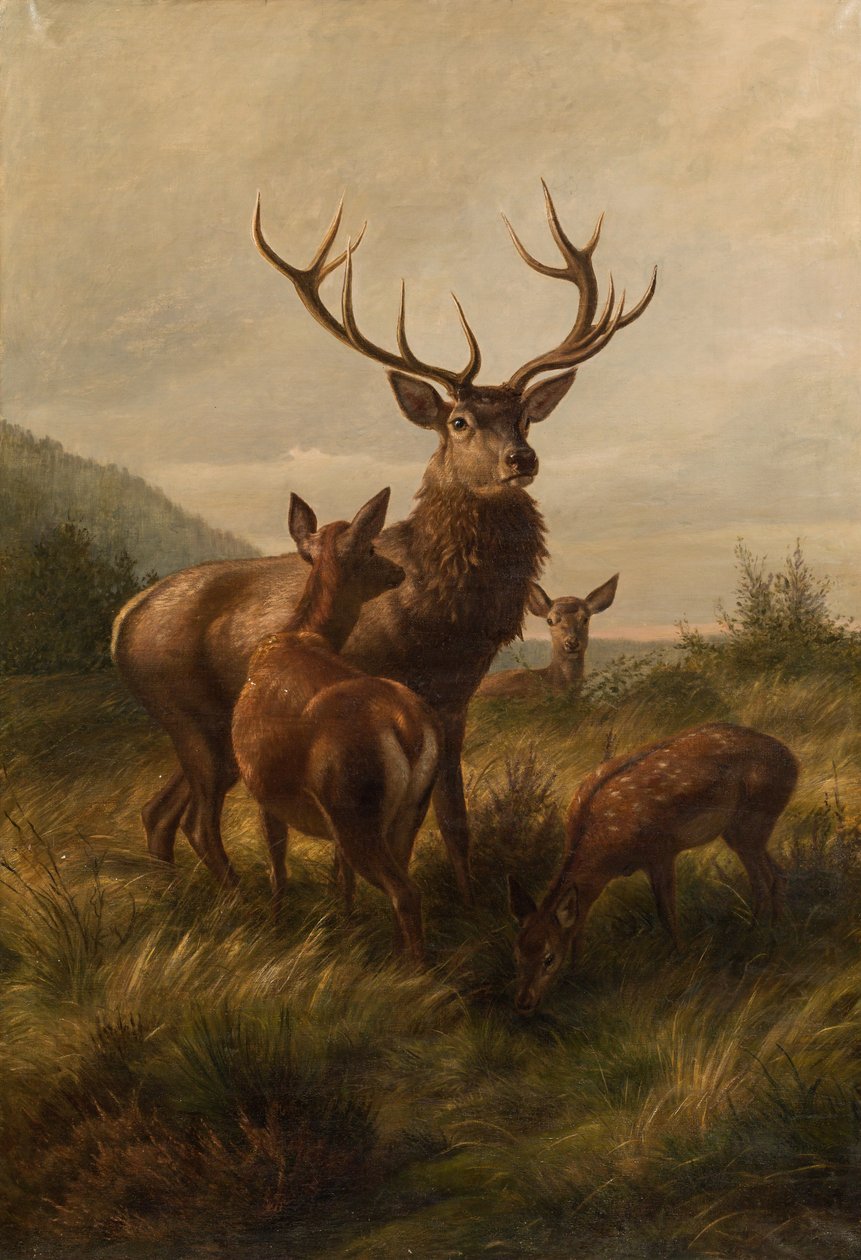 Ciervo con cierva de Carl Friedrich Deiker
