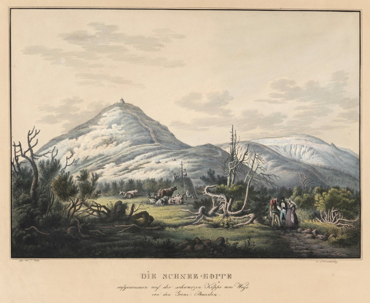 Die Schneekoppe tomada en la Schwarze Koppe en el camino de los GrenzBauden de Carl Mattis