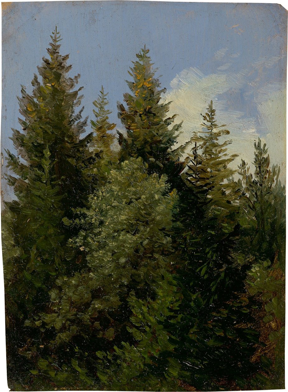 Primera de Carl Gustav Carus