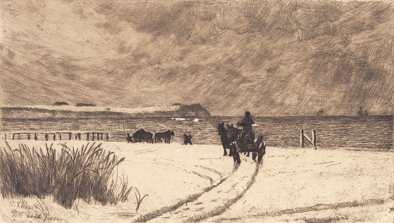 Día de invierno en Hornbæk de Carl Locher