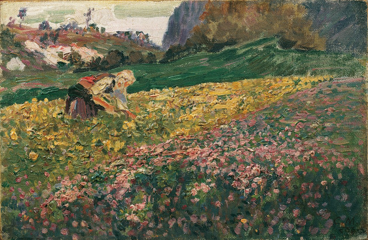 Chica en el prado de flores de Carl Moll