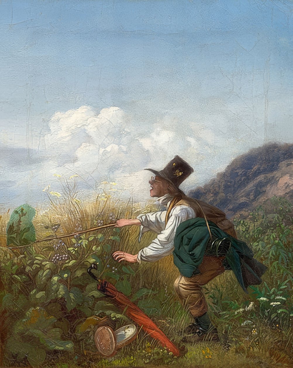 El cazador de mariposas (Botánico). Alrededor de 1837 de Carl Spitzweg