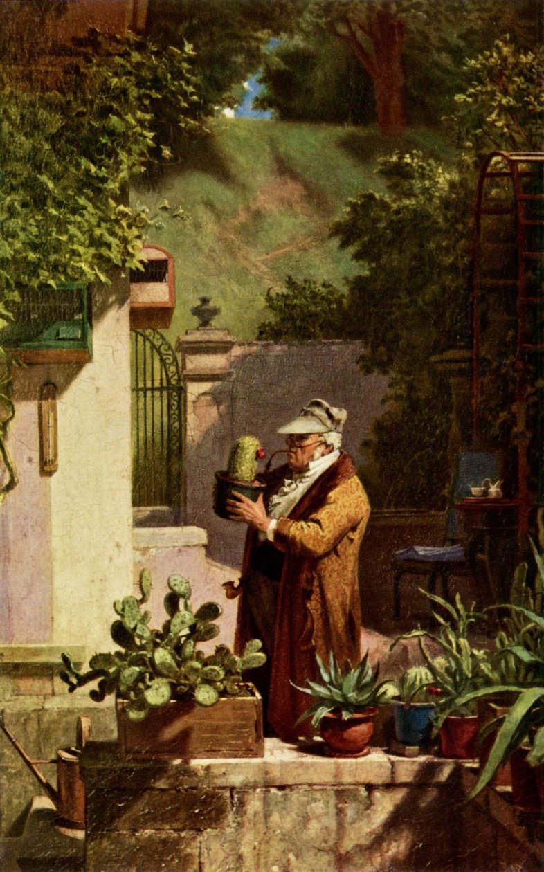 Cactus de Carl Spitzweg