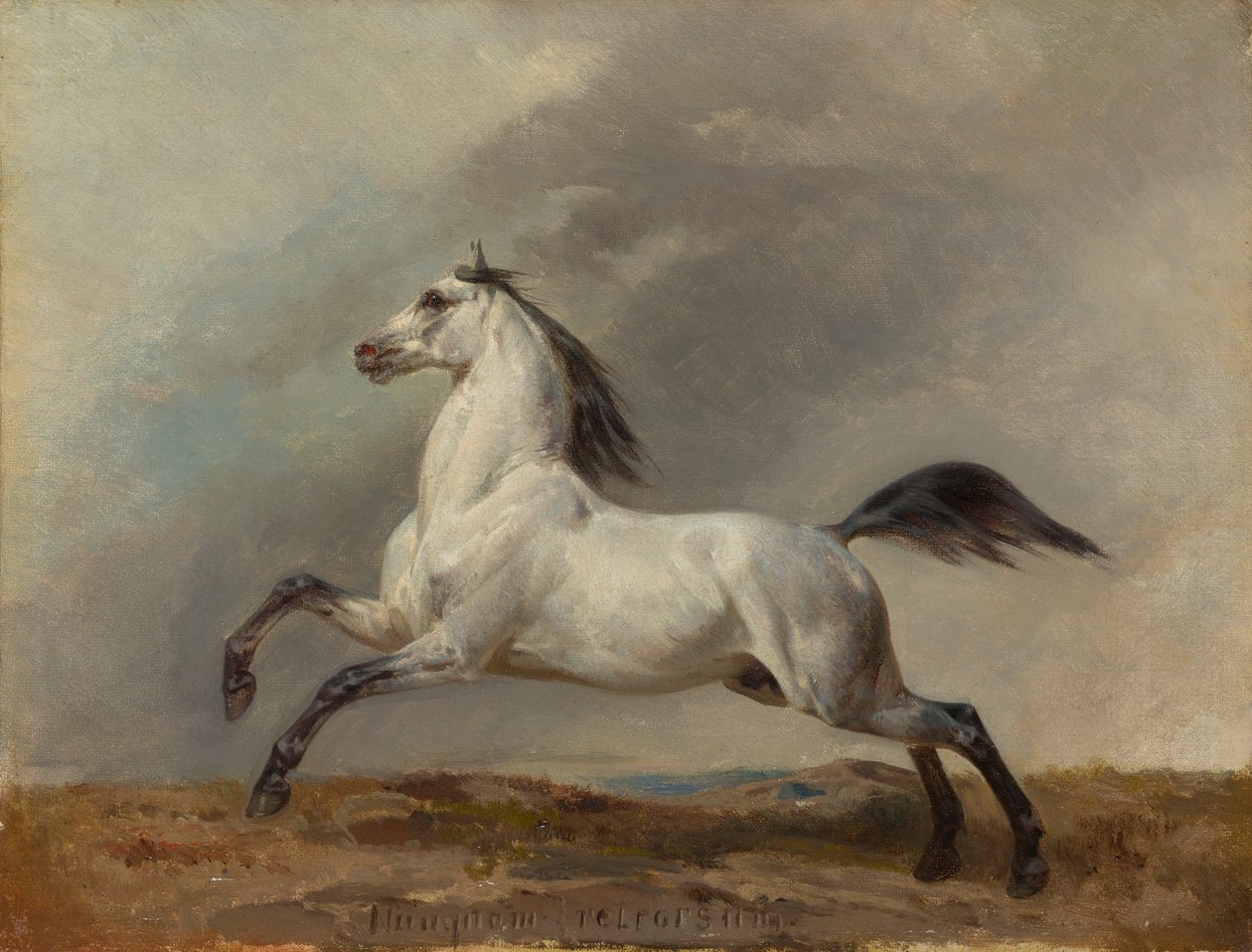 Semental gris a la izquierda de Carl Steffeck