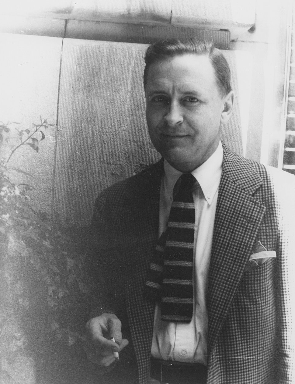 F. Scott Fitzgerald (1896-1940) de Carl Van Vechten