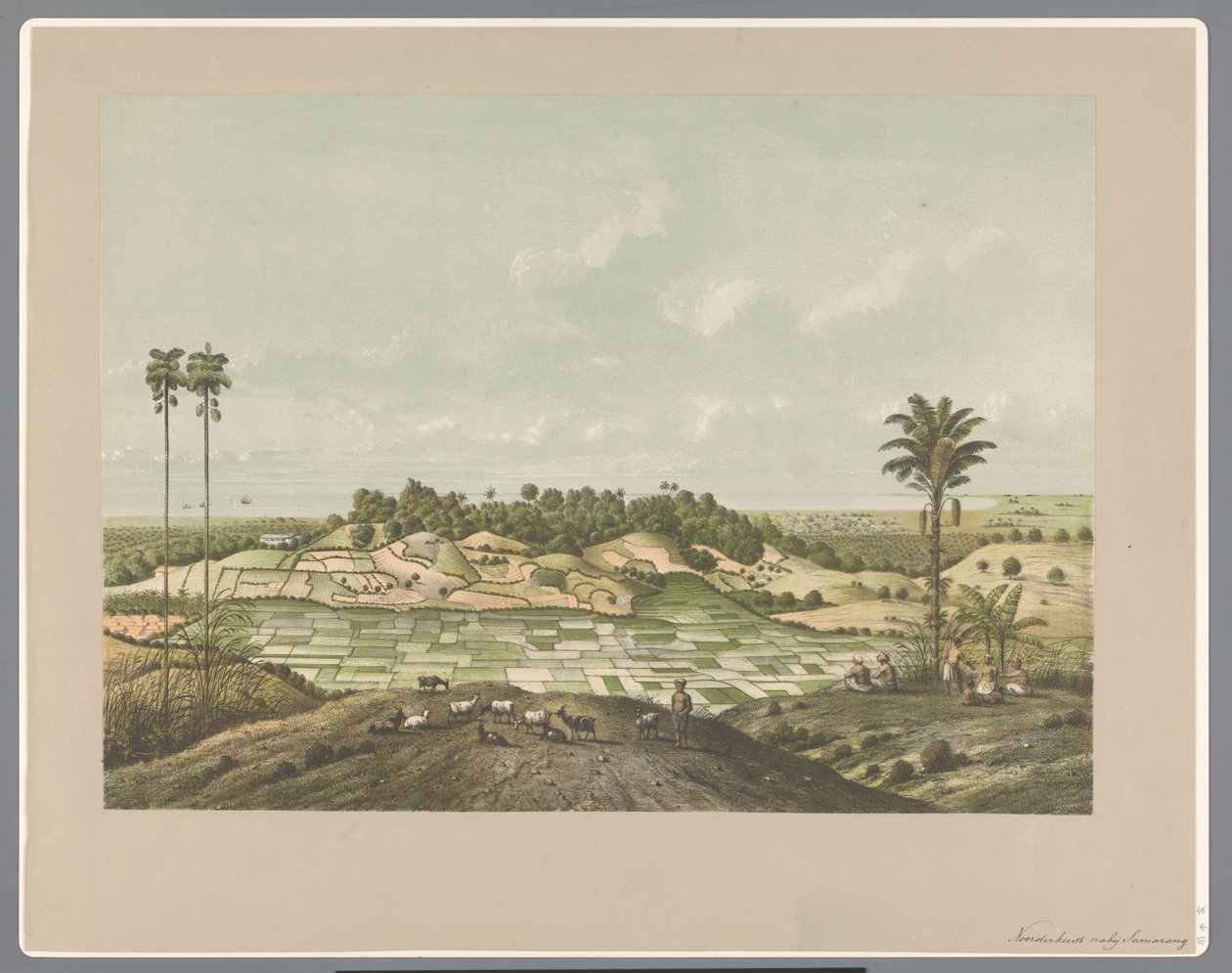 Costa norte cerca de Semarang de Carl Wilhelm Mieling (possibly)