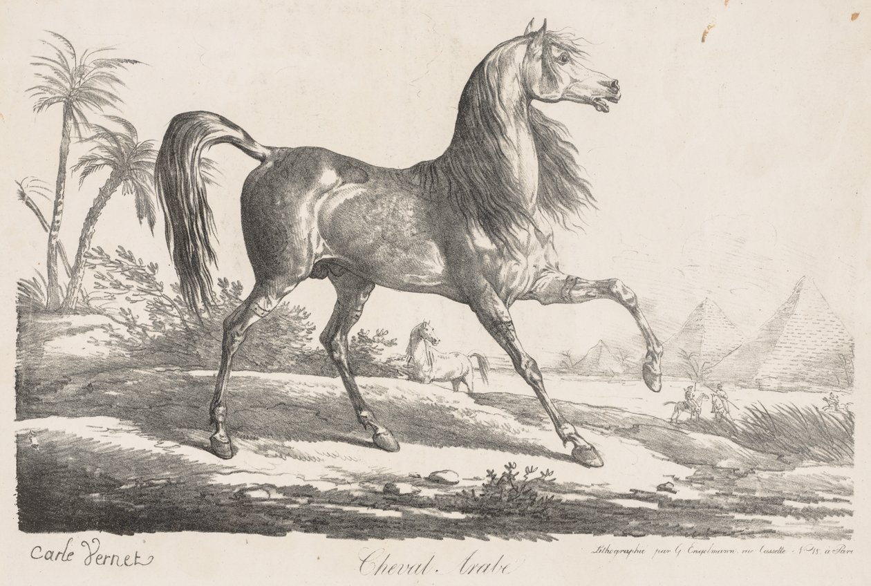 Suite de caballos: caballo árabe de Carle Vernet