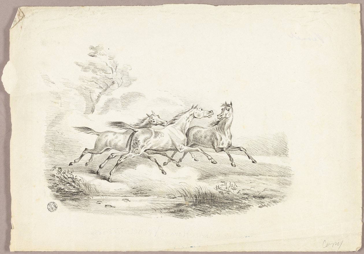 Tres caballos corriendo de Carle Vernet