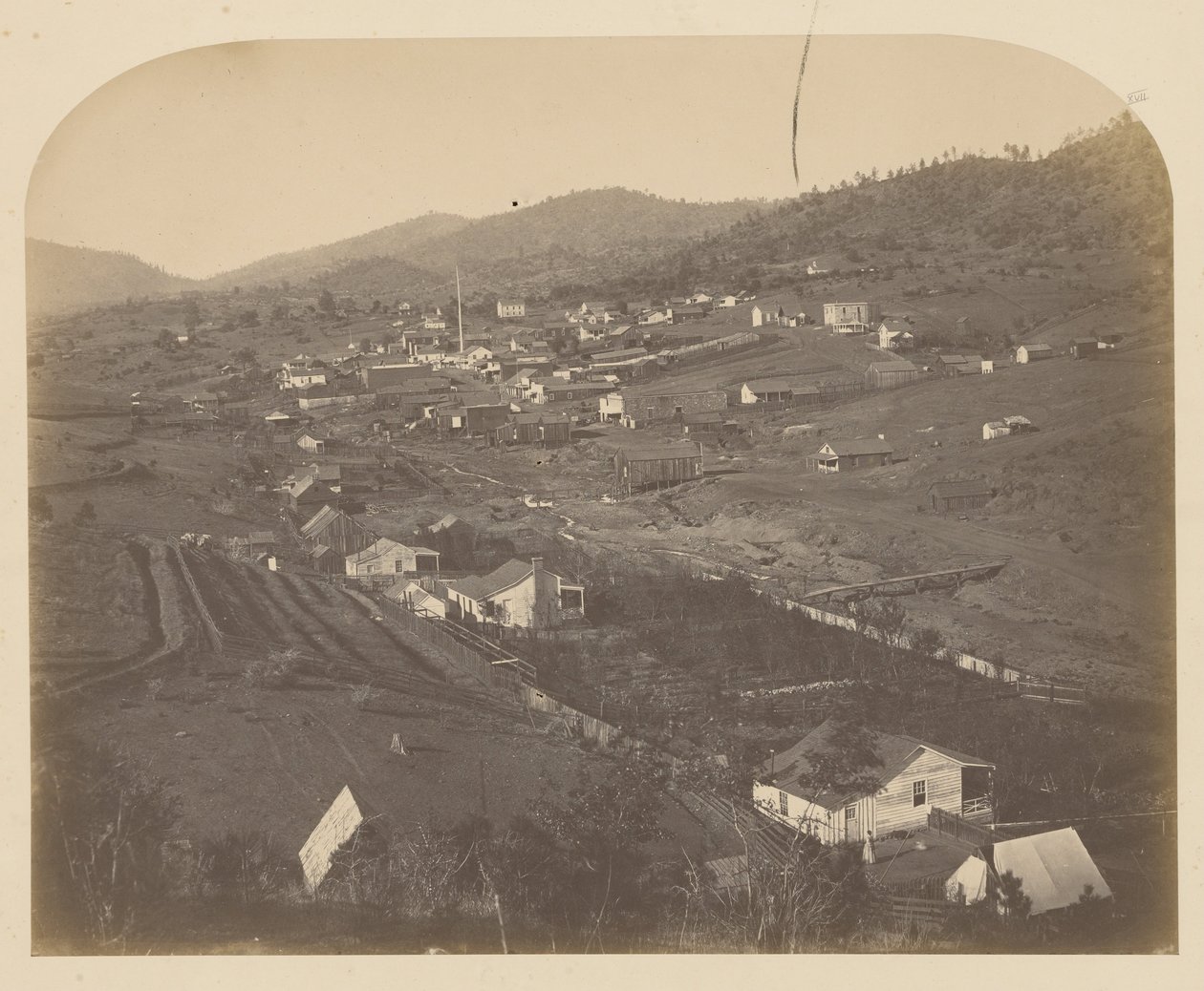 (Mariposa) de Carleton E. Watkins