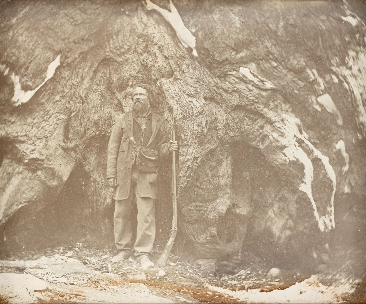 Mariposa Grove. Galen Clark. , Retrato de Galen Clark de Carleton E. Watkins