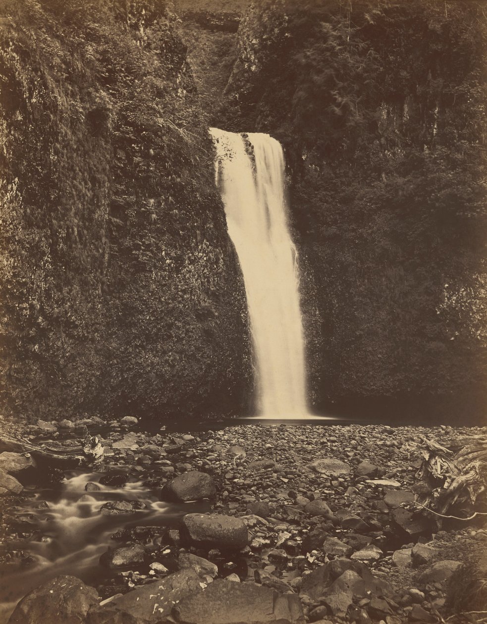 Lower Multnomah Falls, Columbia River,1867 (foto) de Carleton Emmons Watkins