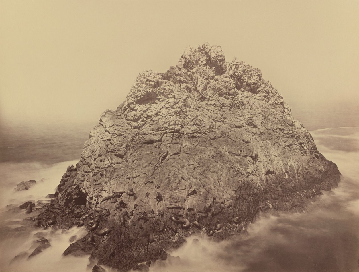 Sugar Loaf Island, Farallons,1868/1869 (foto) de Carleton Emmons Watkins