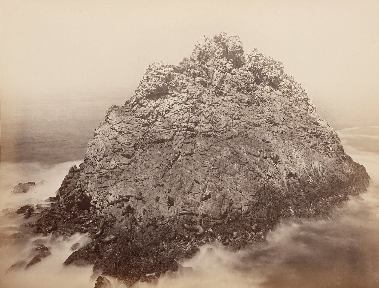 Islas Sugar Loaf, Farallons, 1868-69 de Carleton Emmons Watkins