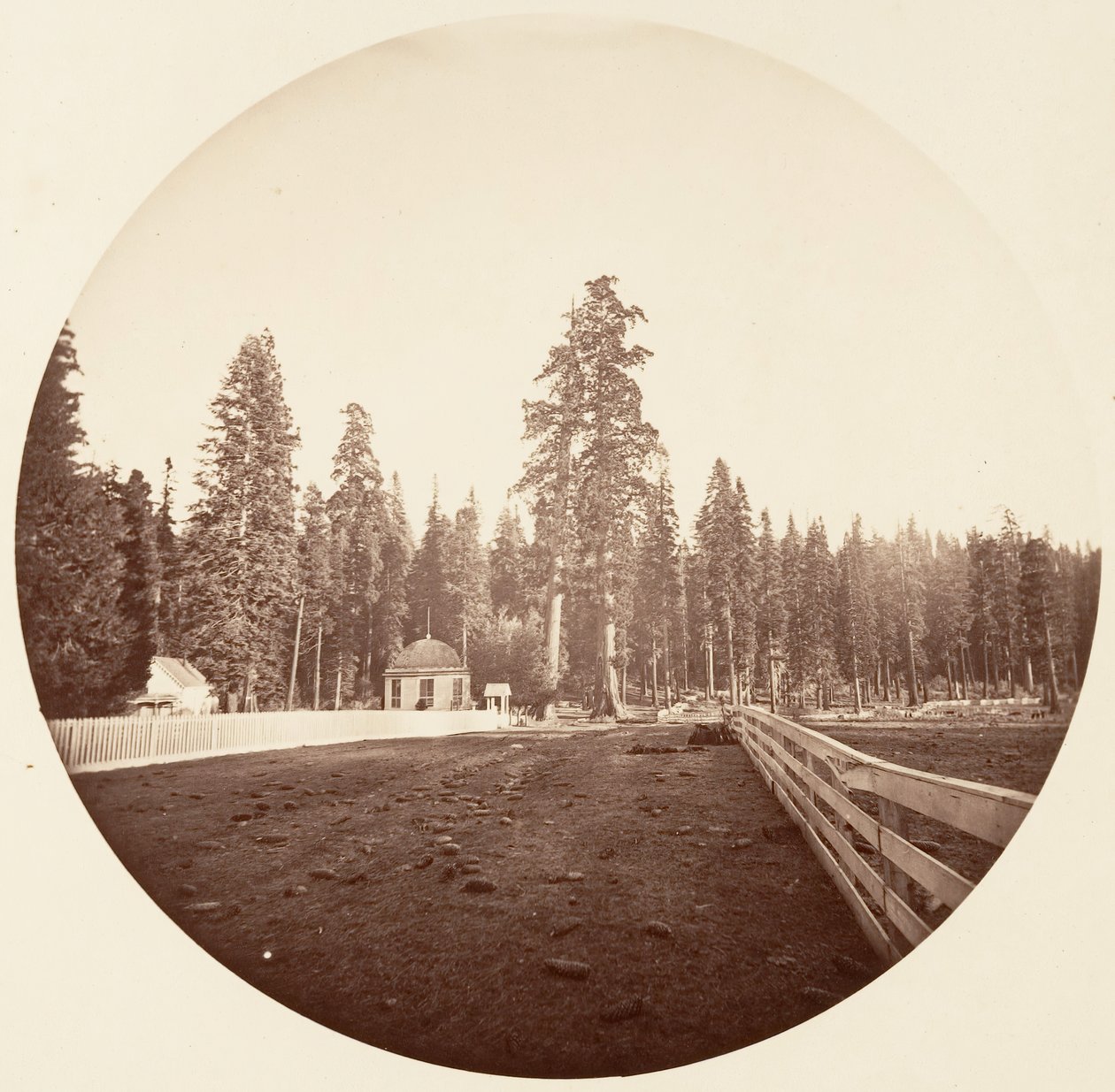 Los centinelas de Carleton Emmons Watkins