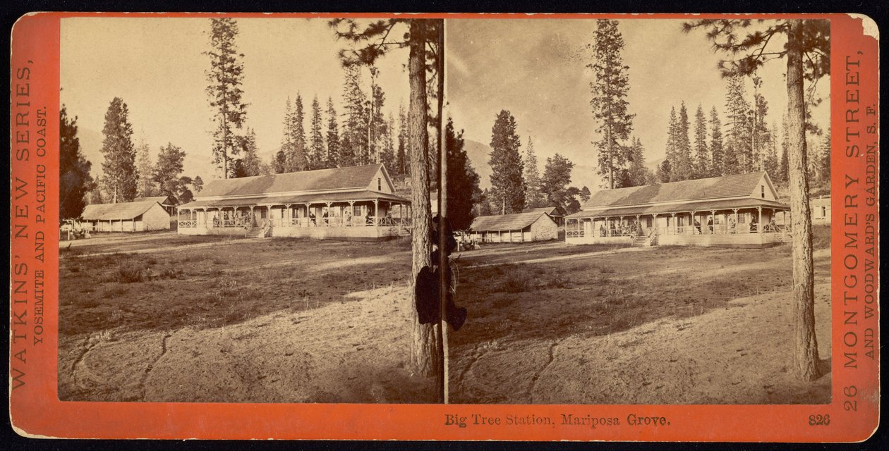 Estación del Gran Árbol, Mariposa Grove de Carleton Watkins