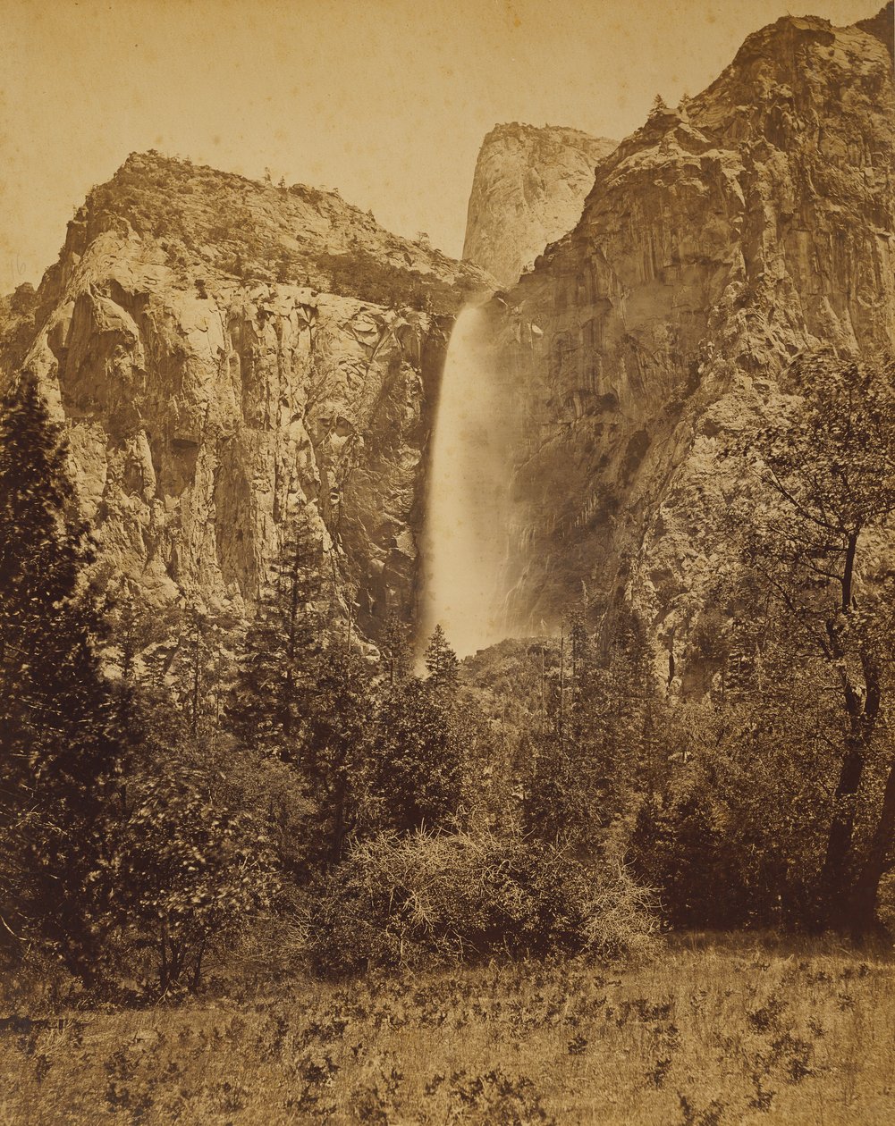 [Velo nupcial] de Carleton Watkins