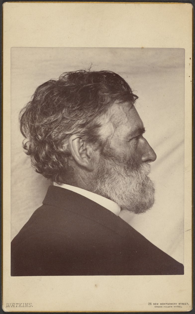 Retrato de George Davidson de Carleton Watkins