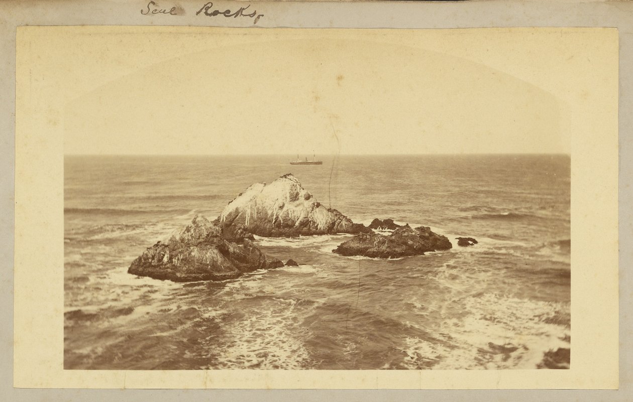 Seal Rocks. de Carleton Watkins