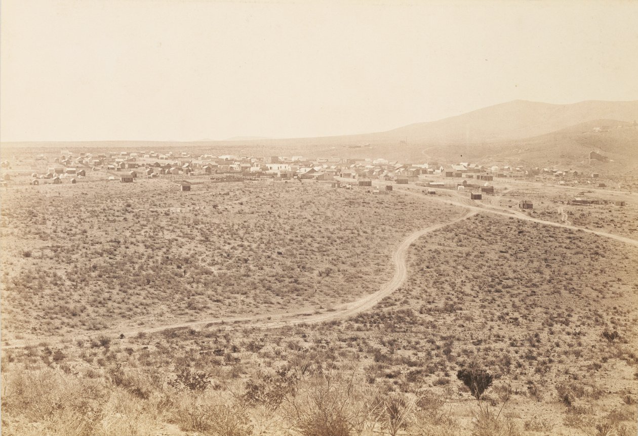 [Tombstone, Arizona] de Carleton Watkins