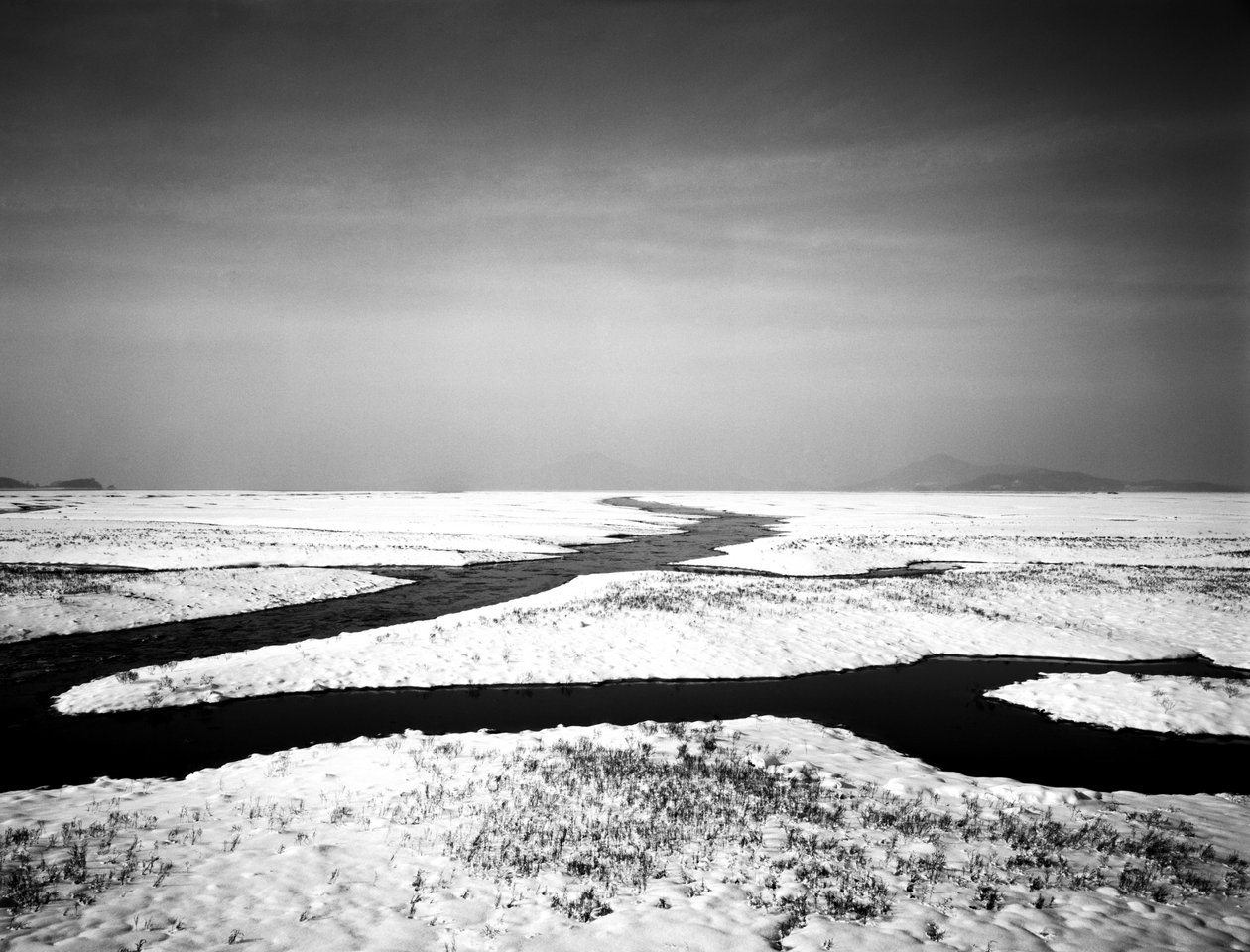 Para siempre en el mar, 2012 de Carli Choi