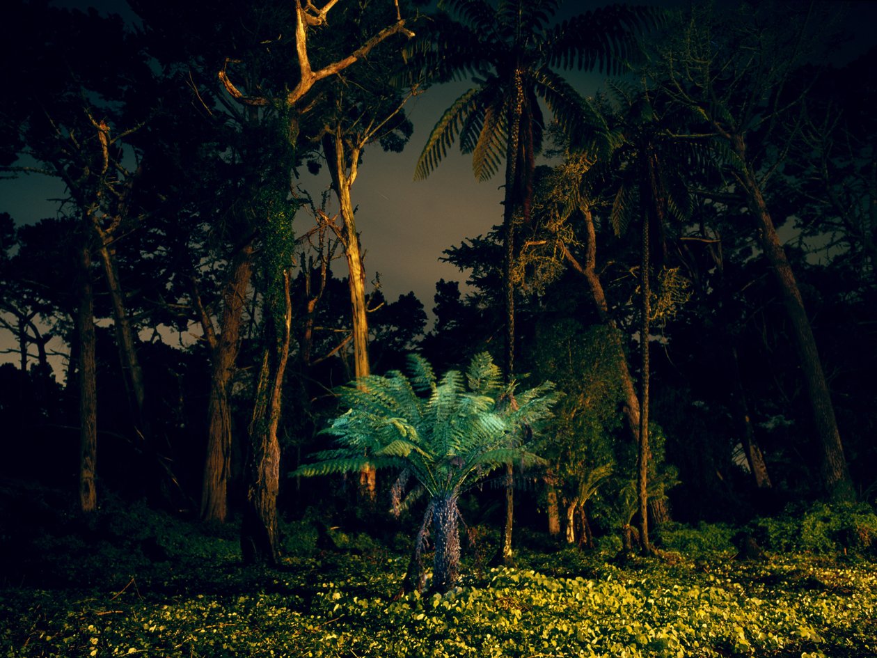 Pintar en la oscuridad, 2014 de Carli Choi