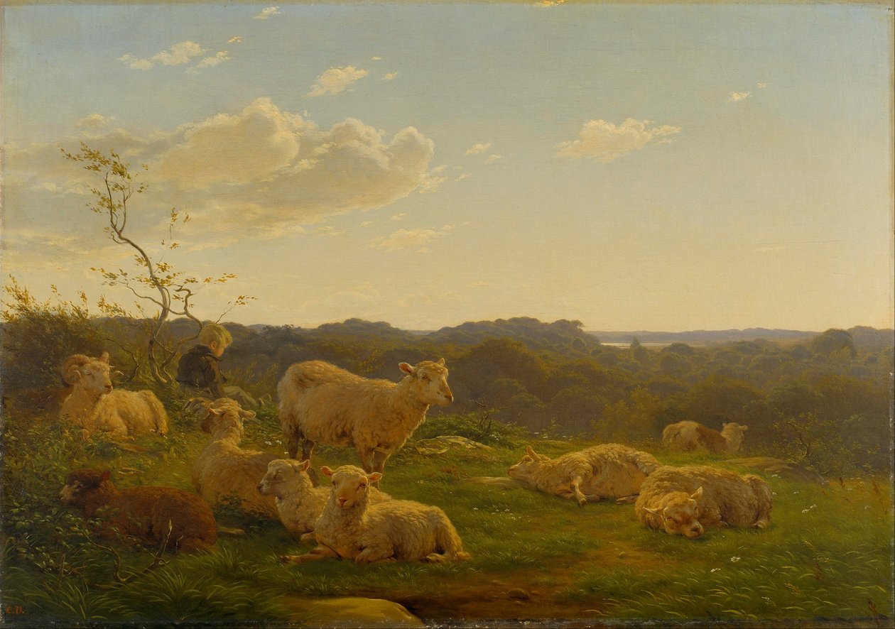 Ovejas en una colina cerca de Skarridsø. de Carlo Dalgas