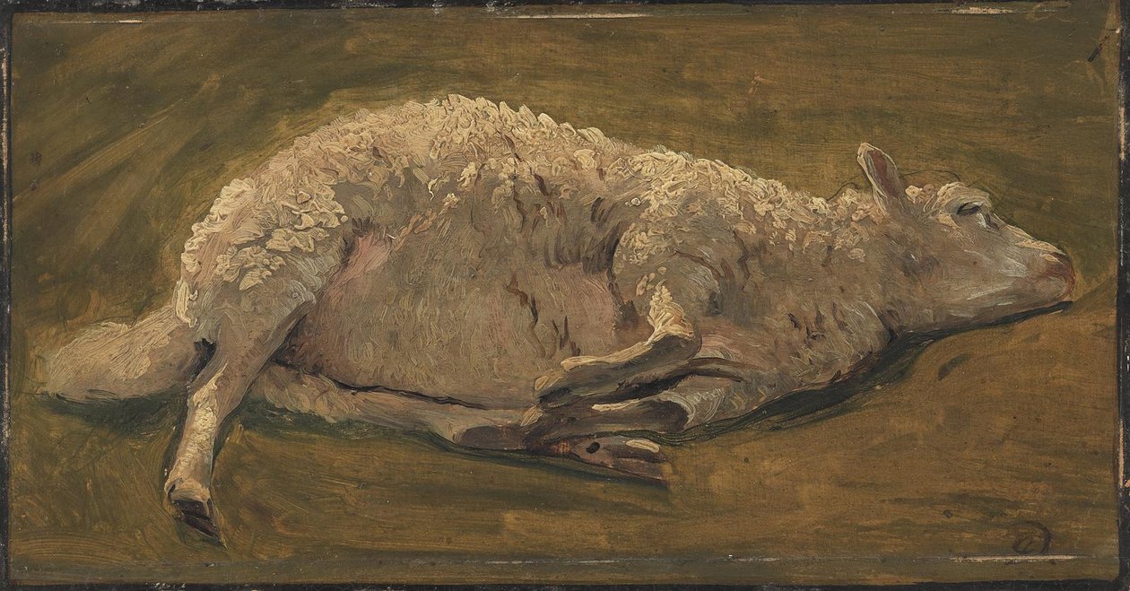 Estudio de una oveja acostada de Carlo Dalgas
