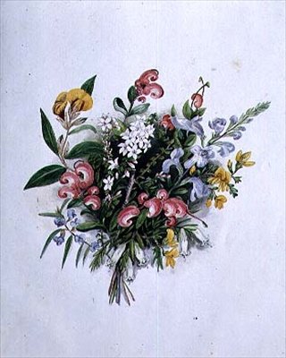 Ramillete de flores de verano de Caroline Louisa Meredith