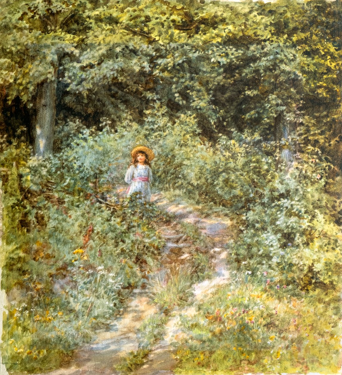 El camino a través del bosque (acuarela) de Caroline Paterson