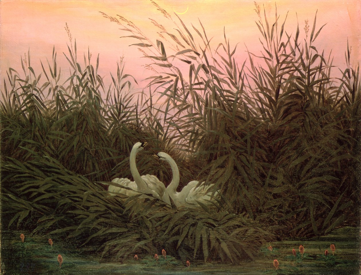 Cisnes en los juncos, c.1820 de Caspar David Friedrich