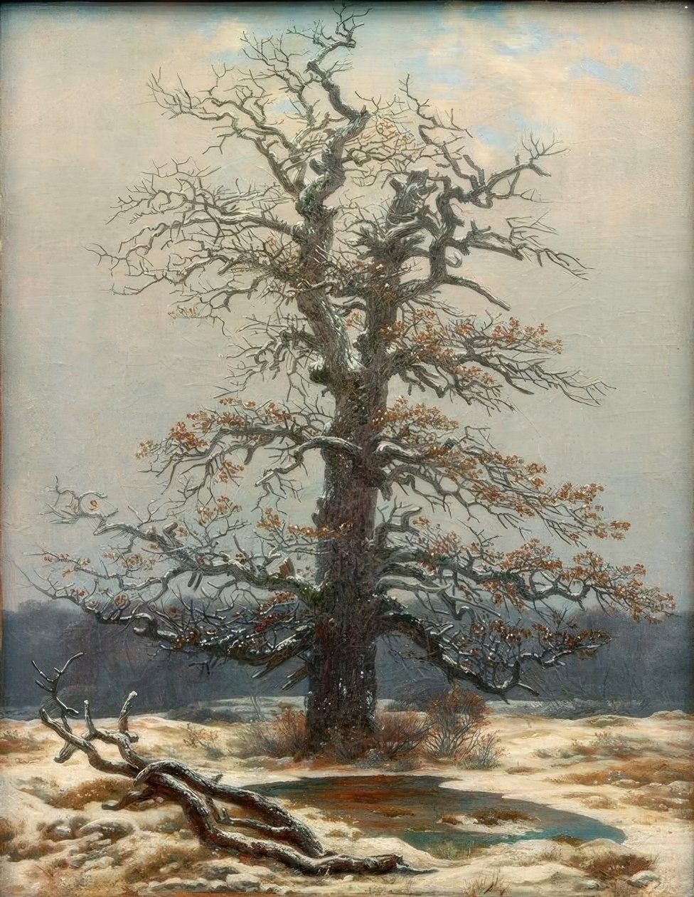 Roble en la nieve de Caspar David Friedrich