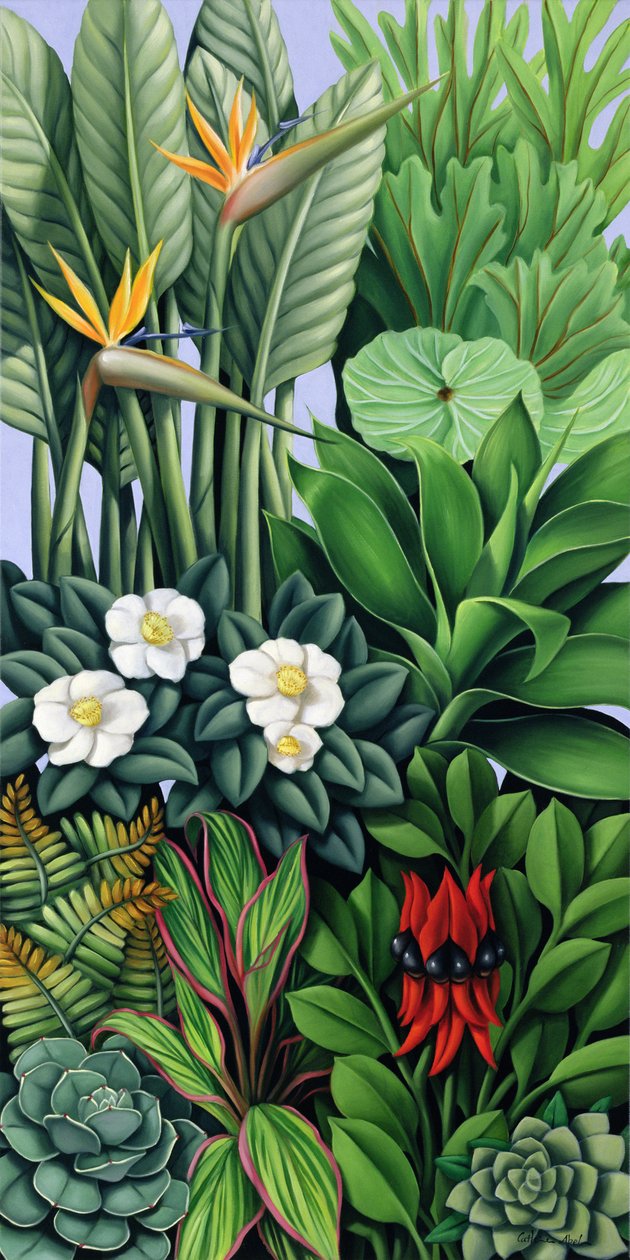 Follaje II de Catherine Abel