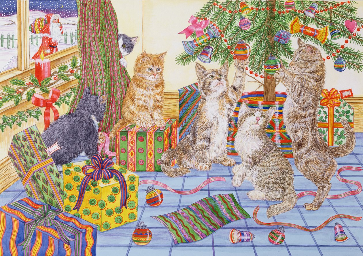 La Navidad de los gatos de Catherine Bradbury