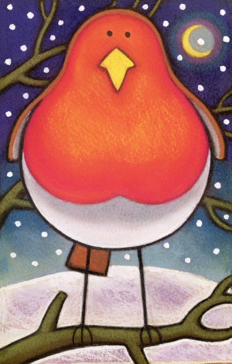 Petirrojo de Navidad, 1997 de Cathy Baxter