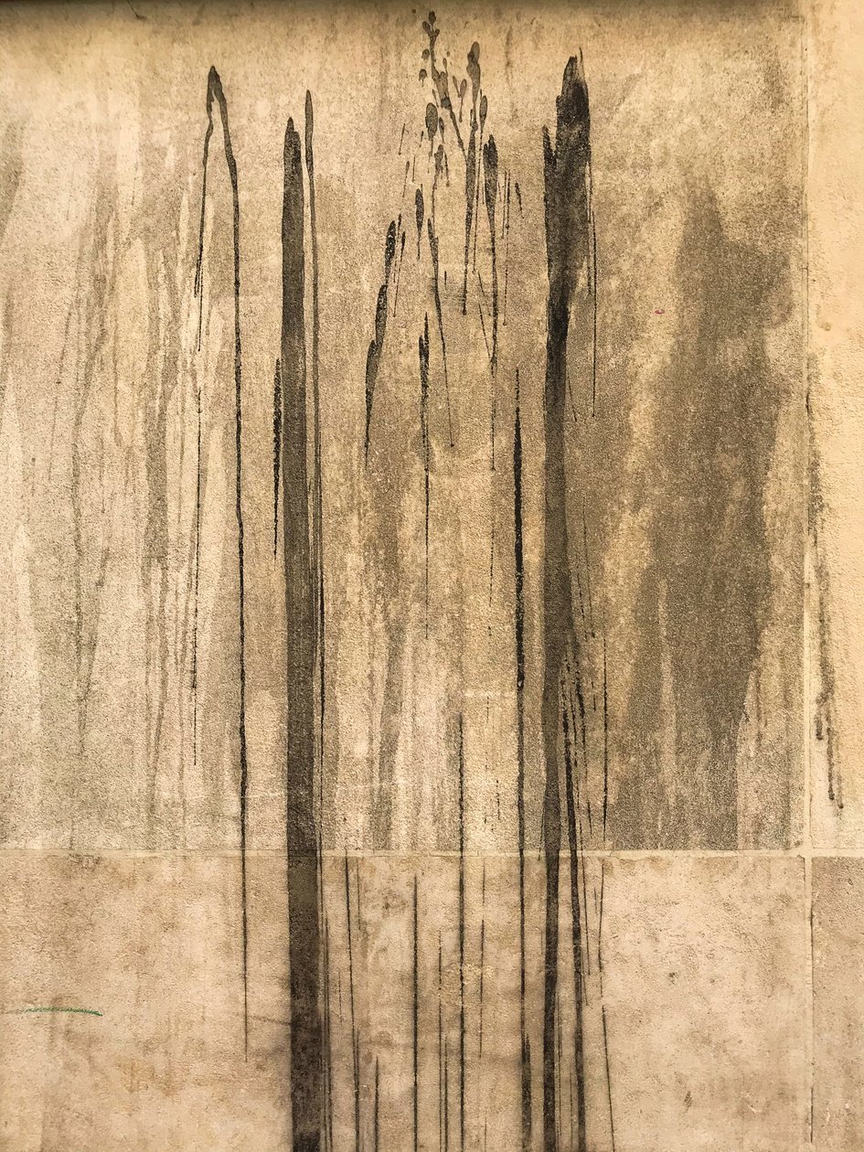 Composición - Textura, 2020 (foto) de Cécile Jamet