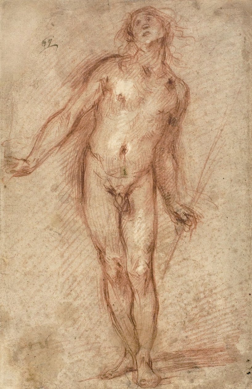 Desnudo masculino de pie, 1637-38 de Cecco Bravo