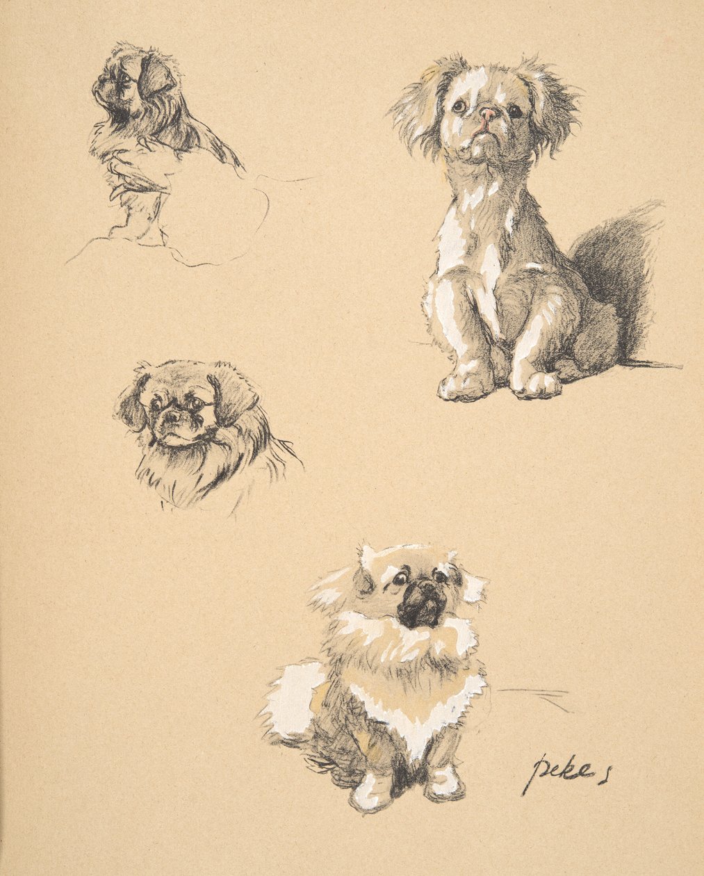 Pekes, 1930, Ilustraciones de su libro de bocetos usado para 