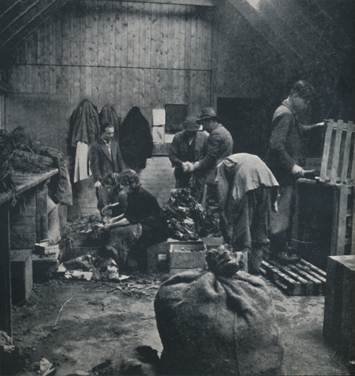 Verduras para el mercado, 1941 de Cecil Beaton