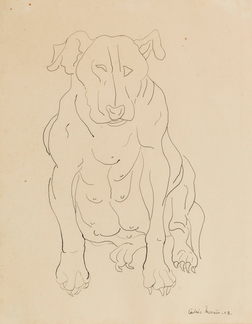 El bulldog de Nancy Morris de Cedric Morris