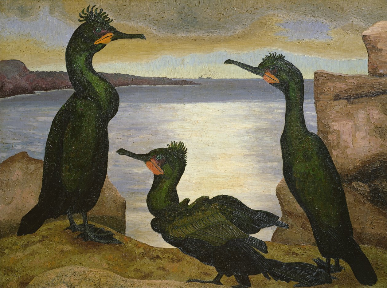 Cormoranes de Cedric Morris