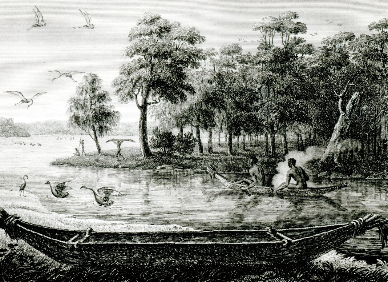 Nueva Holanda: Nueva Gales del Sur de Charles Alexandre Lesueur