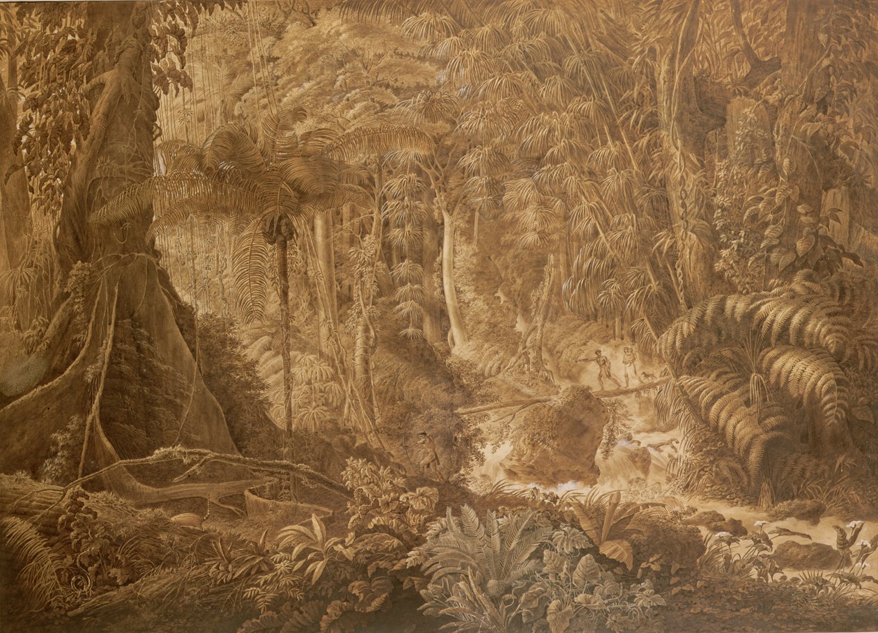 Selva virgen de Brasil, c.1819 de Charles Comte de Clarac