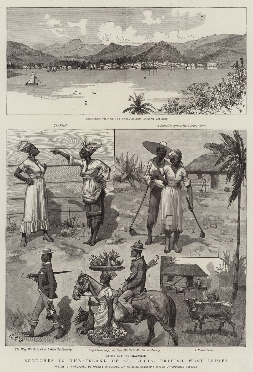 Bocetos en la isla de Santa Lucía, Indias Occidentales Británicas de Charles Edwin Fripp