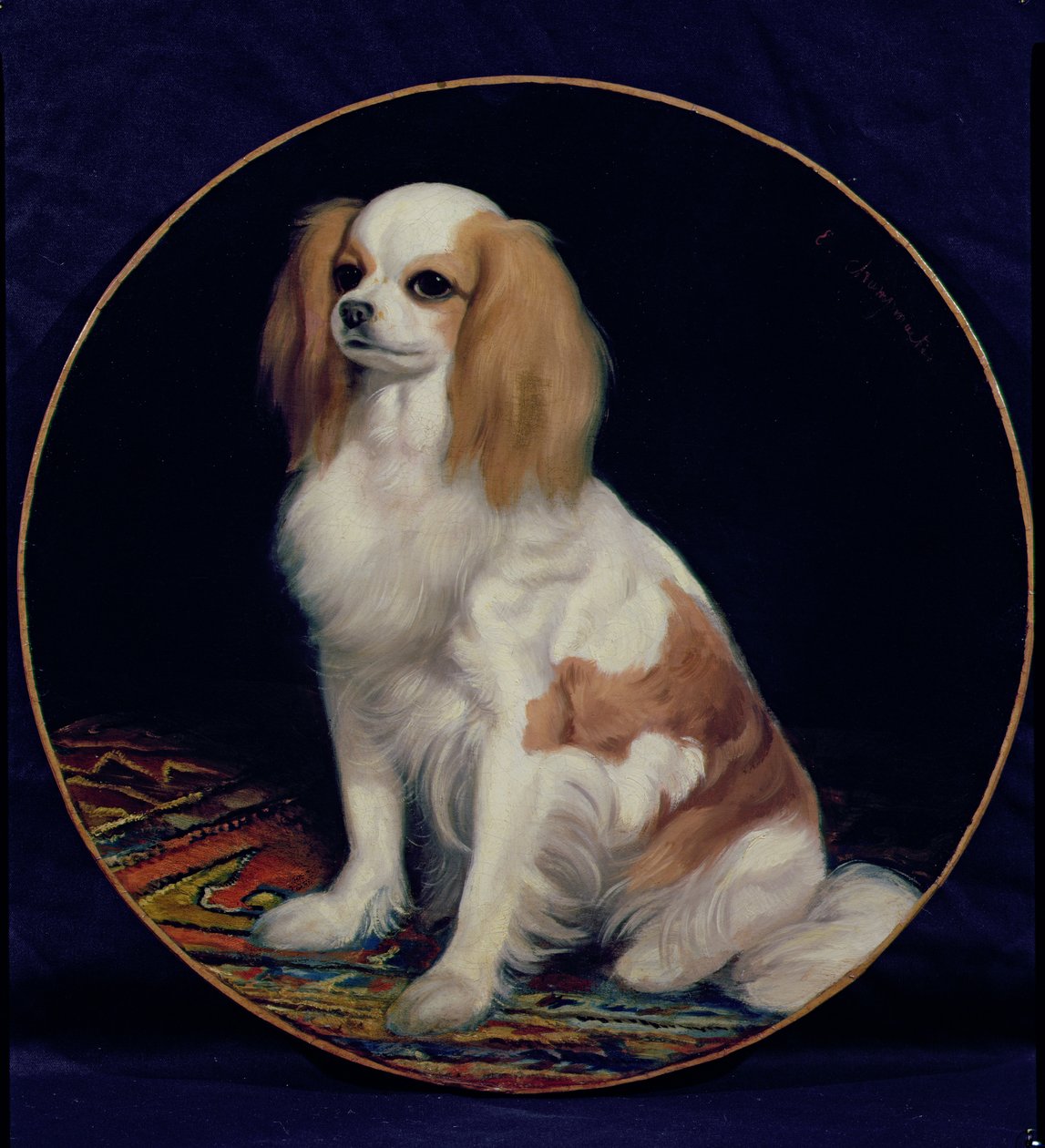 Spaniel del Rey Carlos de Charles Emile Callande de Champmartin