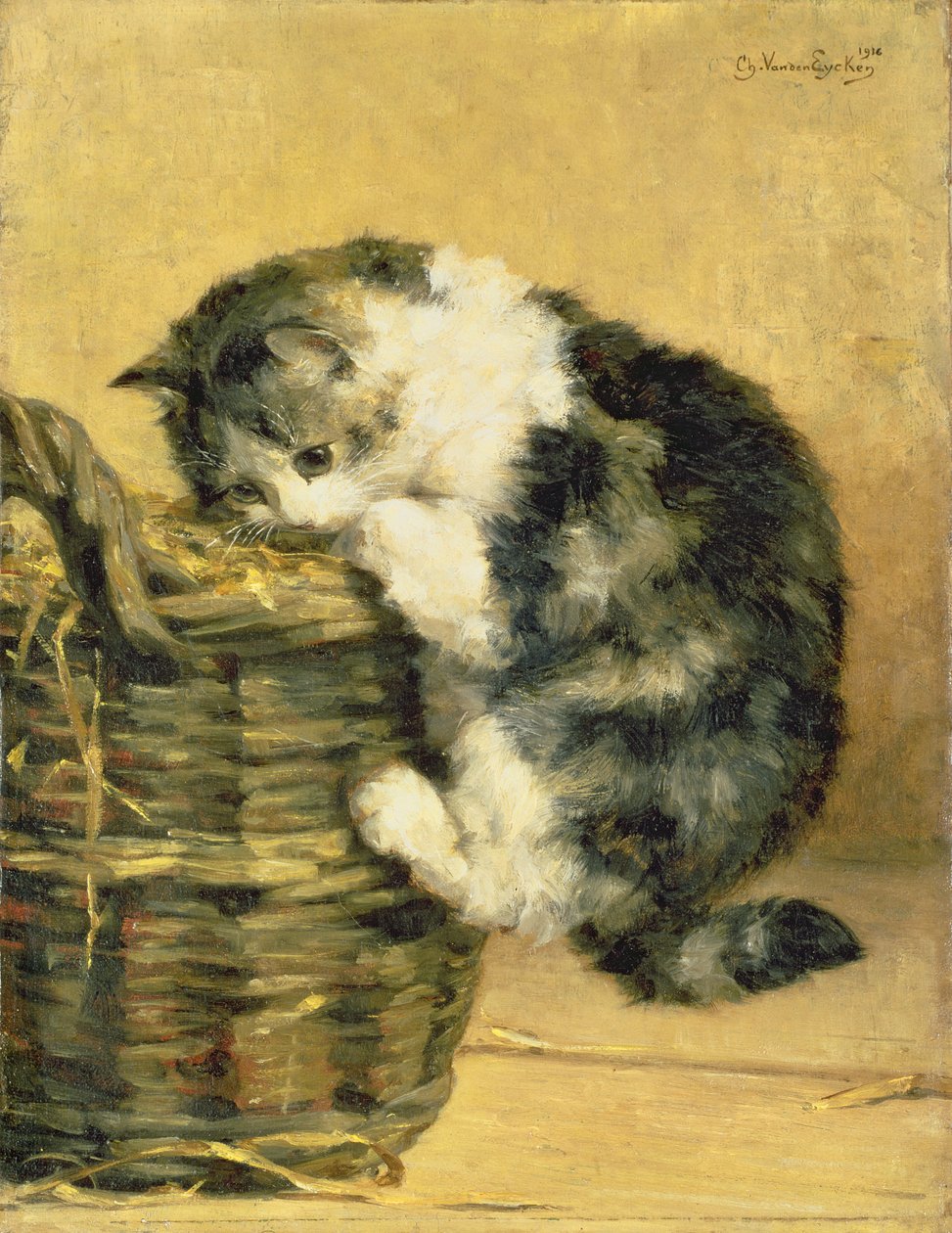 Gato con una cesta de Charles van den Eycken