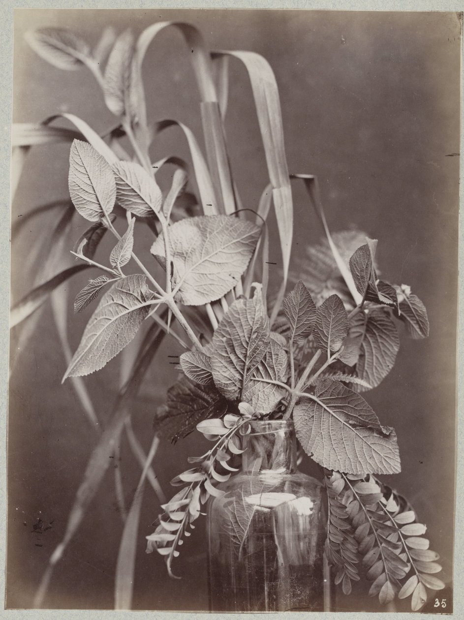 Estudio de flores con botella de cristal. de Charles Aubry (manner of)