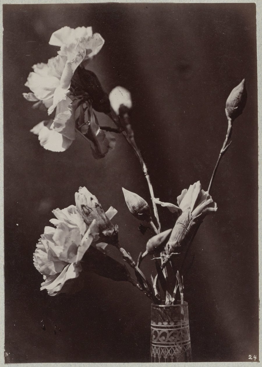 Estudio de flores con jarrón de cristal. de Charles Aubry (manner of)